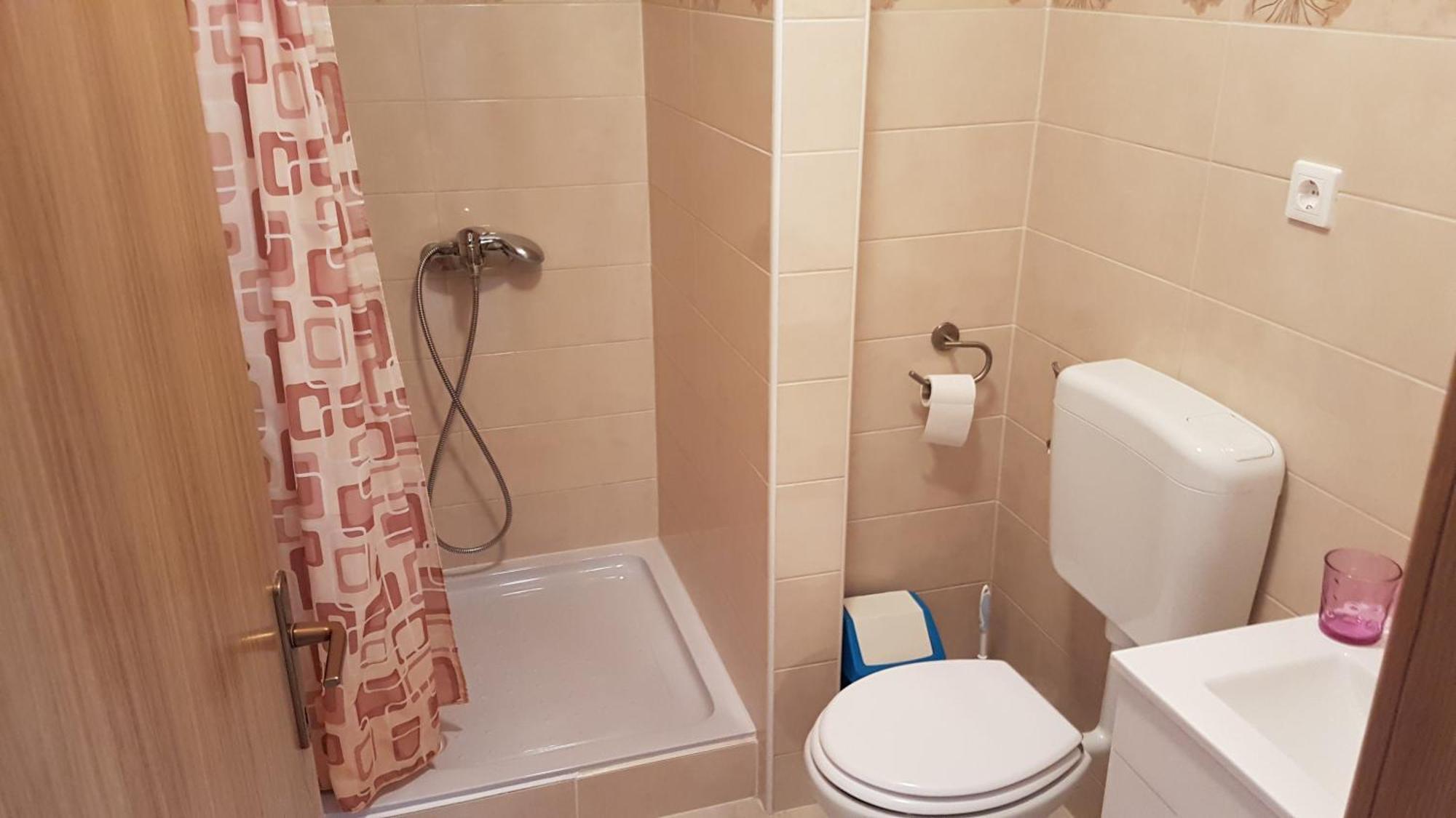 Mirjana Apartment Kustici