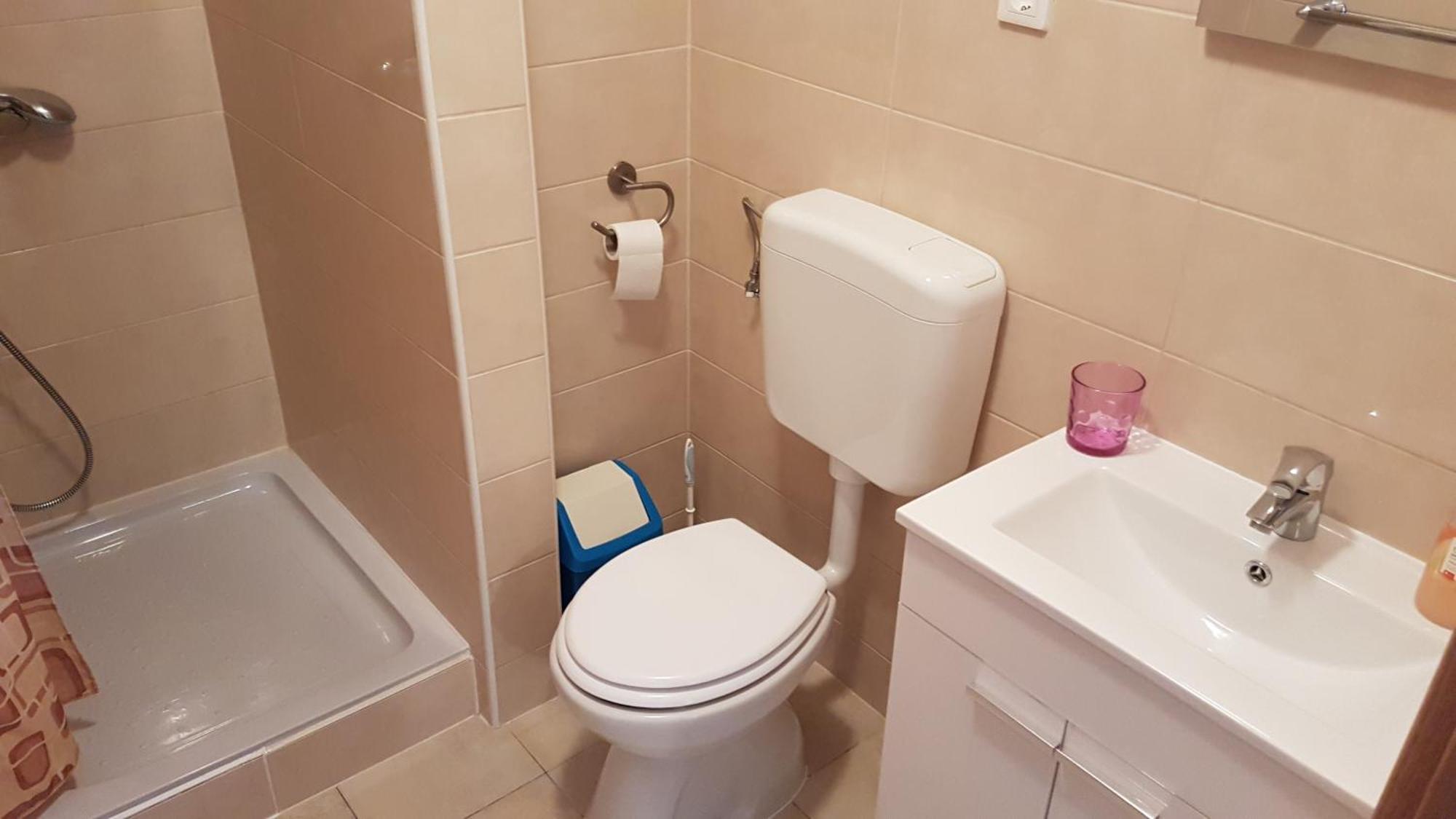 Mirjana Apartment Kustici